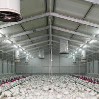 Проектирование систем вентиляции животноводческих ферм